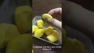 How to differentiate between Cempedak And Nangka?