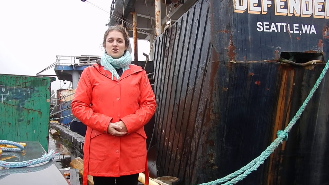 Fishing Nets Can Be Recycled Too! YouTube