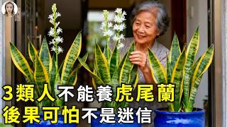 虎尾蘭千萬別亂養！繼“4個地方不能放”之後，這3類人更需要注意！不是迷信，科學風水兩面說|花花世界