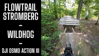 Flowtrail Stromberg | Wild Hog | Testrun DJI Osmo Action III