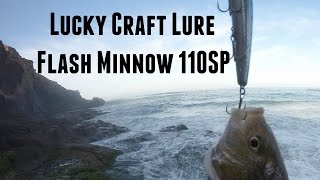 Fishing With Lucky Craft Flash Minnow Lure