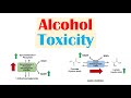 Alcohol Toxicity | Toxic Effects of Ethanol on Liver Metabolism (Metabolic Consequences)