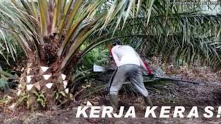 Staff Gathering PT. REZEKI KENCANA JULONG GROUP INDONESIA 3 November 2018