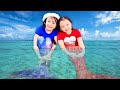 Bug's Fire and Ice Mermaids: Halloween vs Christmas | Little Big Toys Mp3 Song