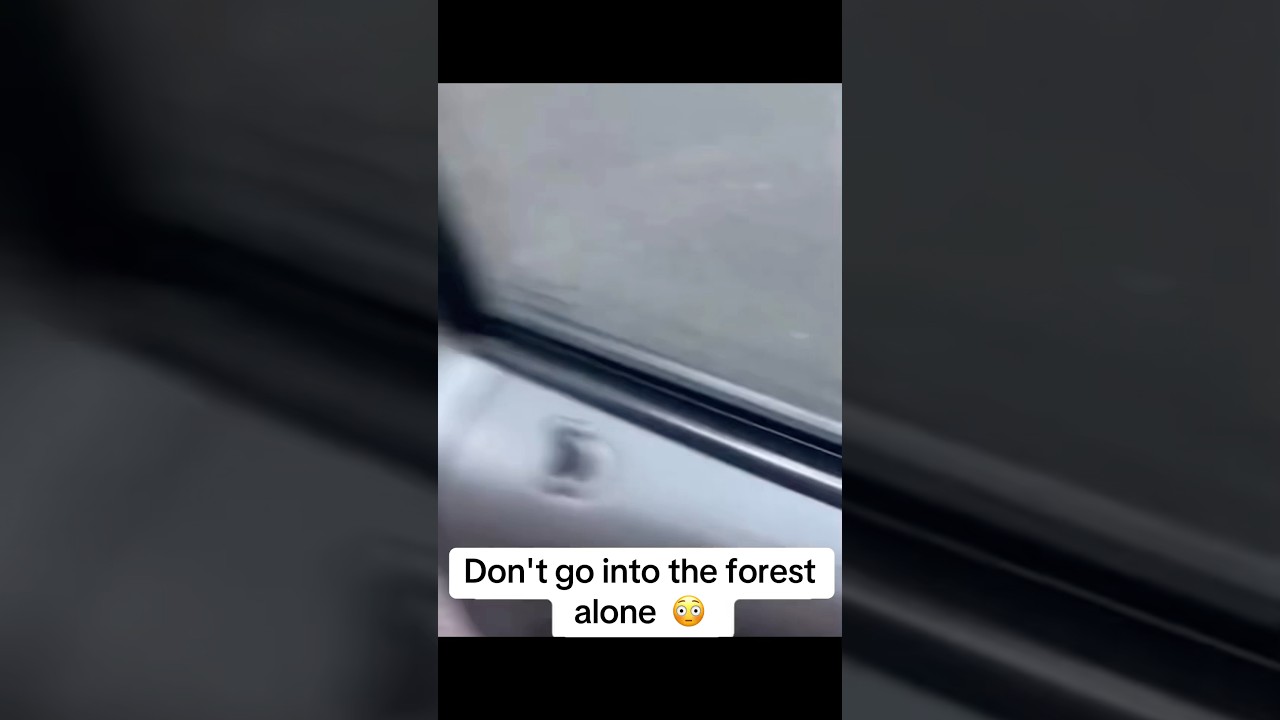 Не ходите в лес одни😳 
