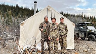 Alaska Caribou and Wolf Pursuit in the Far North