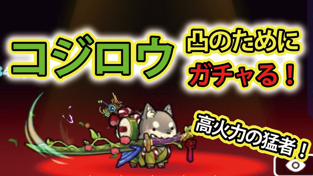 ぼくとネコ　確定コジロウガチャで凸素材GET！　高火力木属性キャラだから育てたい！