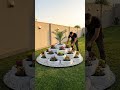I Turned Old Tires Into a GARDEN Masterpiece! 🌺