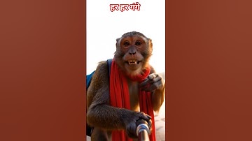 Bandar Vlogging In Varanasi #ai #veo3 #vlog #monkey #monkeyvlogs