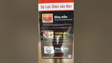 Tủ lạnh Sharp Inverter 241 lít SJ-X251E-SL