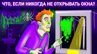 видео: Что произойдет, если вы никогда не будете открывать окна картинка: Что произойдет, если вы никогда не будете открывать окна