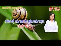 #113. BẢO VỆ CÂY DO ỐC SÊN GÂY HẠI • Bí kíp 2