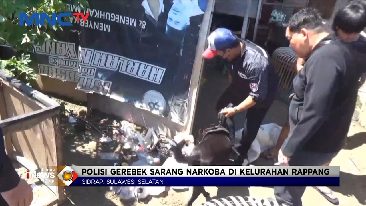 Polisi Gerebek Sarang Narkoba di Sidrap, Dua Anjing Pelacak Dikerahkan #LintasiNewsPagi 04/07