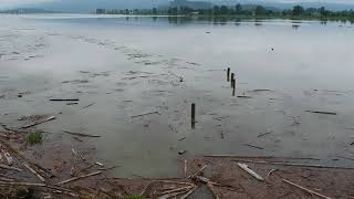 The Rising Pitt River