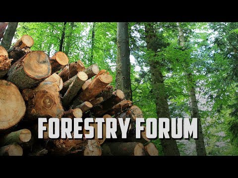 Forestry Forum