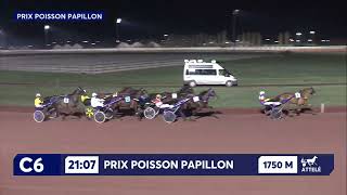 Vidéo de la course PMU PRIX POISSON PAPILLON