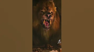 لا تأسفن علي غدر الزمان لطالما رقصت علي جثث الاسود كلاپ 