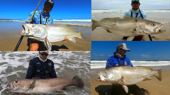 HOW TO RIG A SOFT PLASTIC, PADDLE TAIL FOR KOB, MULLOWAY. WHAT SETUP TO  USE, LEADERS AND MORE! 