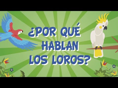 Video: Loro Carolina: descripción científica de la especie, datos interesantes, historia de extinción