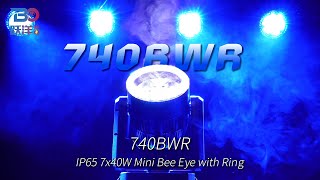Beyond Lighting 740BWR 7x40W Mini Bee Eye with Ring #beyondlighting #movingheadlight #washlight