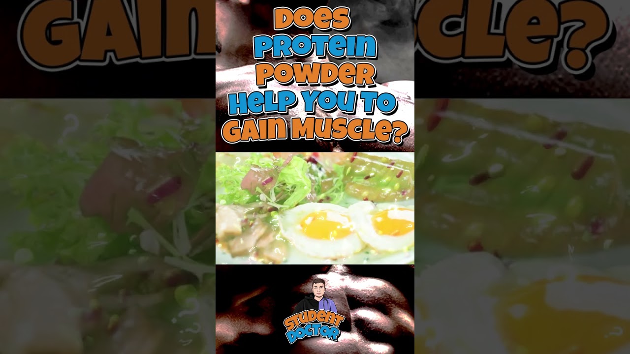 Does Protein Powder Help You To Gain Muscle?