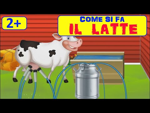 Video: Come passare i bambini al latte di mucca (con immagini)