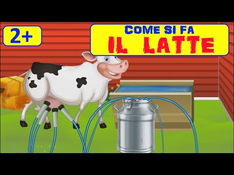 Video: Come Si Fa Il Latte