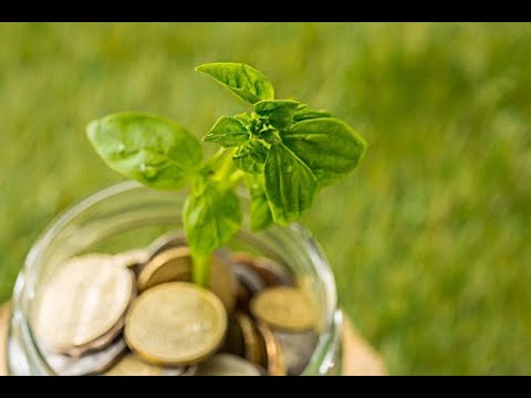 Vidéo: Économies Dans Le Jardin