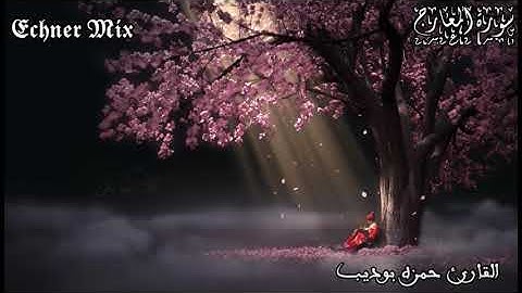 فأصبر صبراً جميلاً - سورة المعارج - القارئ | حمزه بوديب