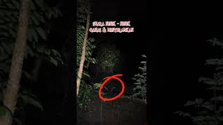 Download Lagu Suara nenek - nenek ganas \u0026 kuntilanak berjubah hitam #kuntilanak #explore #misteri MP3