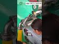 Corn Noodles Extruder Machine Corn Pasta Machine Corn Flour Noodles Machine Maize Pasta Machine