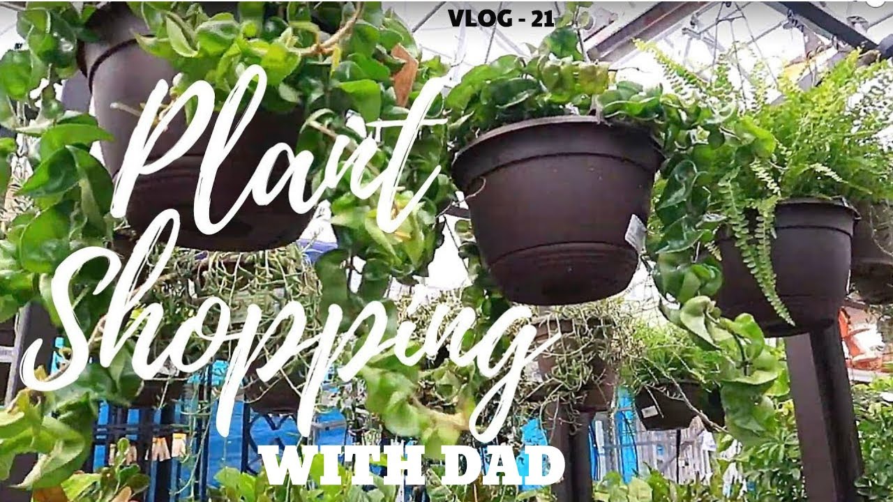 Cheap Plant Shopping At Baroda ( WITH DAD) vlog21 YouTube