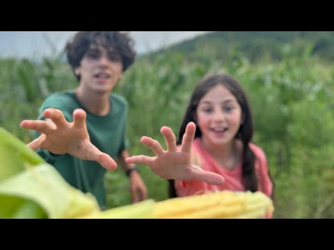 სიმინდები მოვიპარეთ?!🌽🤫 (ჩემი ერთი დღე)