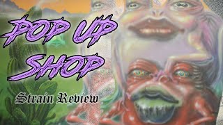 First Time Going To A Cannabis Pop Up Shop (Exotic Weed Strain Review)
