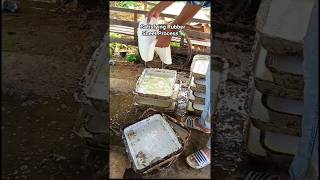 Satisfying rubber sheet making process #RubberTechGlobal #Shorts #Manufacturing #RubberProcessing