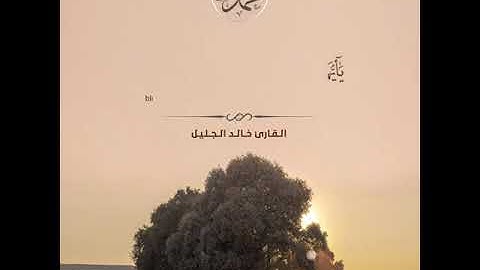 آية الصلاة على النبي ¦¦ بصوت القارئ خالد الجليل#مقاس_انستقرام #فيس #تويتر