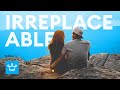 15 Things That Make You IRREPLACEABLE