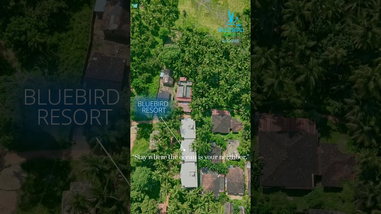 🌊 Escape to paradise at Bluebird Resort, Bhogwe 🕊️✨ 