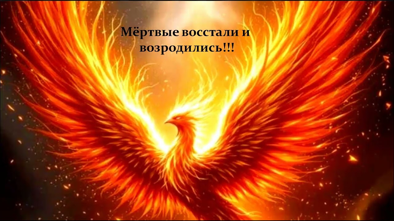 Возродитесь из мёртвых граждане СССР