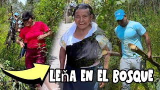 Cojiendo leña en el bosque para mamá josefa , cual de los dos equipos es mas fuerte -  YOUTUBE