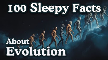 The Most Relaxing Facts About Evolution to Fall Asleep To