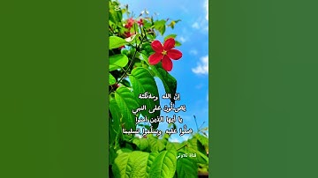 تلاوة عطرة #اكسبلور #تيك_توك #ترند