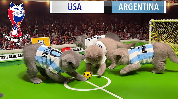 CAT WORLD CUP 2025 KICKS OFF! 🐾 USA 🇺🇸 VS ARGENTINA 🇦🇷 DRAMATIC GAME!  CATS KITTENS PLAY FOOTBALL ⚽