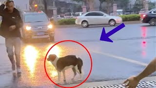 In the rain, she stood in front of the restaurant with a pregnant belly, begging for help