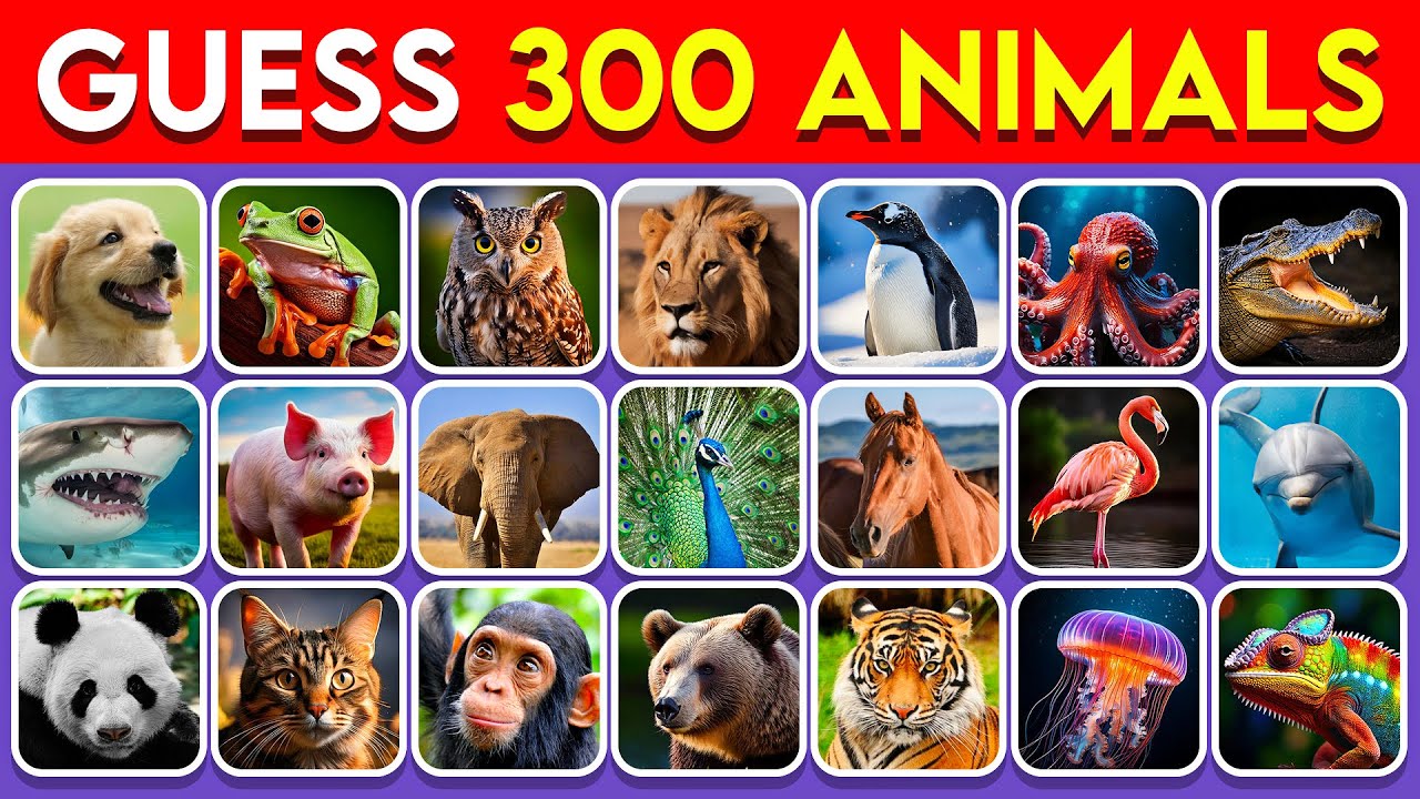 Guess 300 Animals in 3 Seconds 🐶🐯🐵 | EASY to IMPOSSIBLE
