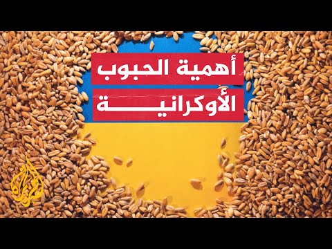 ماذا يحدث لو توقف تصدير الحبوب الأوكرانية إلى العالم؟