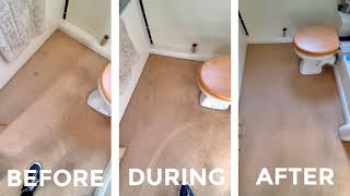 Carpet Cleaning Performed By Patty Plus Services Ltd In Uk Warhammer