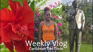 VLOG | ANOTHER GREAT WALK PART TWO