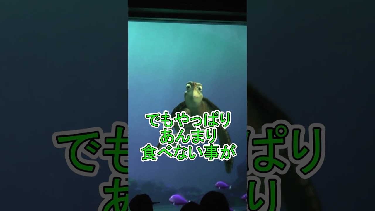 彼氏が痩せません【タートルトーク】東京ディズニーシー
