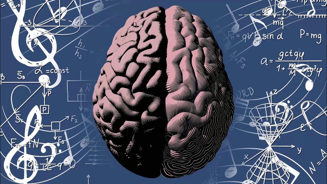 Brain 104. Доминанта в мозге. Физиология эйдетики. Эйдетика - фитнес для мозга!. Теория мозговой Доминанты.